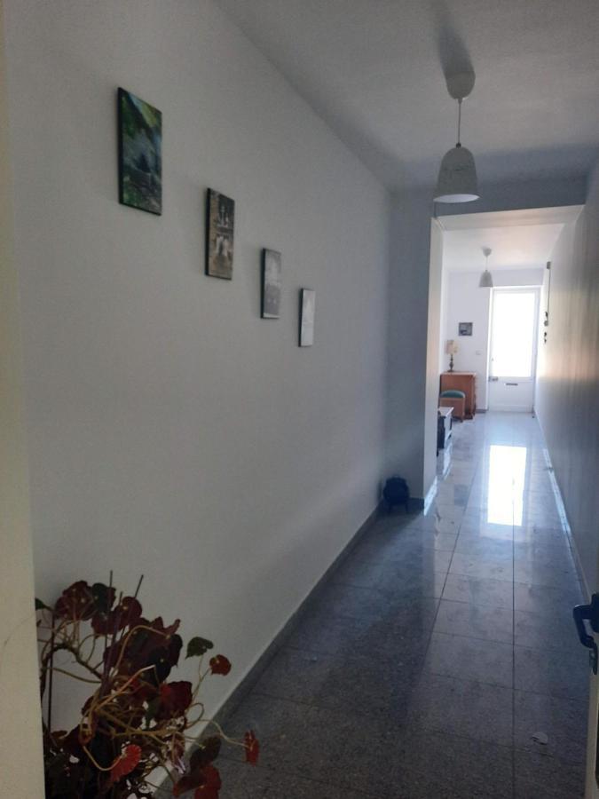 Casa Araci Hotel Vieira do Minho Ngoại thất bức ảnh
