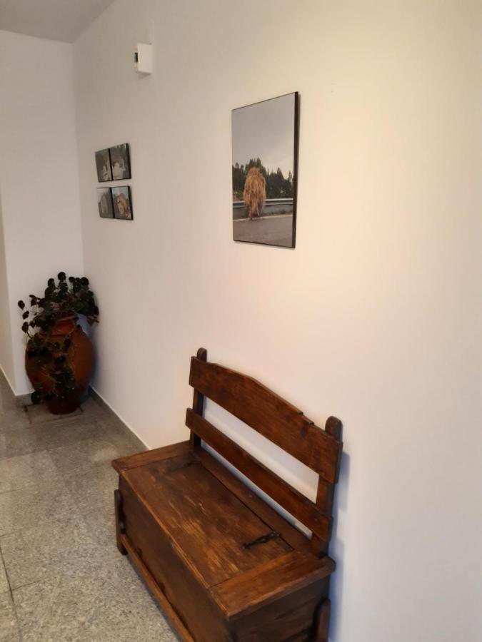 Casa Araci Hotel Vieira do Minho Ngoại thất bức ảnh